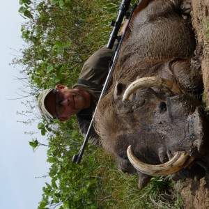 Hunting Warthog in Central African Republic