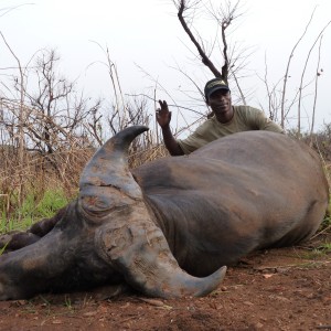 Hunting Buffalo in Central African Republic