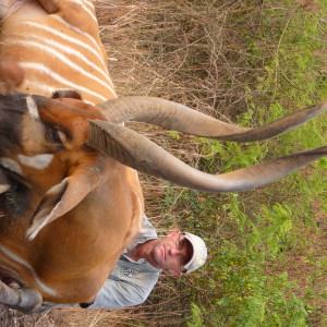 Hunting Bongo in Central African Republic