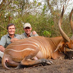 Hunting Bongo in Central African Republic