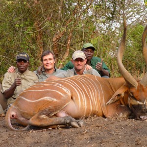 Hunting Bongo in Central African Republic