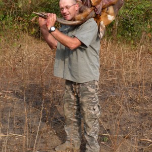 Hunting Bongo in Central African Republic