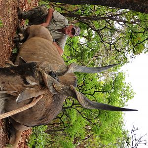 Hunting Lord Derby Eland in CAR