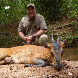 Red Flanked Duiker hunted in CAR