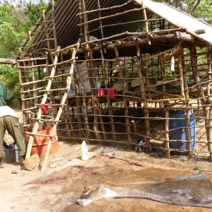 Trophy shed in CAR