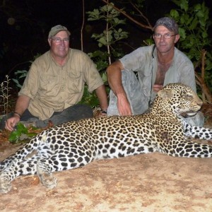 Leopard hunted in CAR