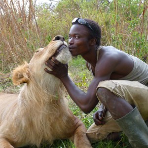 Lion hunted in CAR