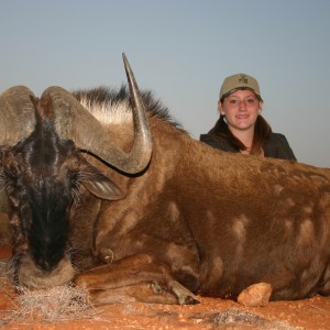 Hunting Black Wildebeest with Wintershoek Johnny Vivier Safaris in SA