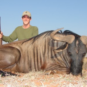 Hunting Blue Wildebeest with Wintershoek Johnny Vivier Safaris in SA