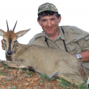 Hunting Grey Duiker with Wintershoek Johnny Vivier Safaris in SA