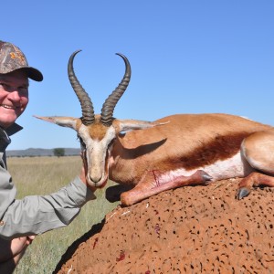 Hunting Springbuck with Wintershoek Johnny Vivier Safaris in SA