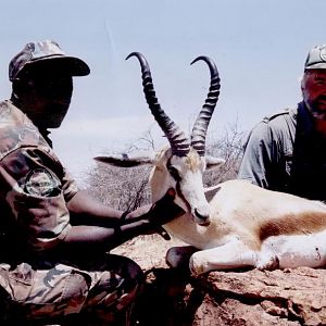 Hunting Springbuck with Wintershoek Johnny Vivier Safaris in SA