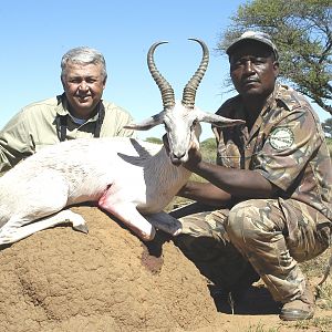 Hunting White Springbuck with Wintershoek Johnny Vivier Safaris in SA