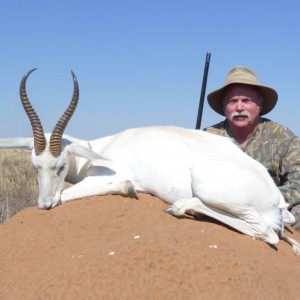 Hunting White Springbuck with Wintershoek Johnny Vivier Safaris in SA