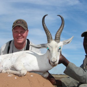 Hunting White Springbuck with Wintershoek Johnny Vivier Safaris in SA