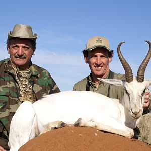 Hunting White Springbuck with Wintershoek Johnny Vivier Safaris in SA