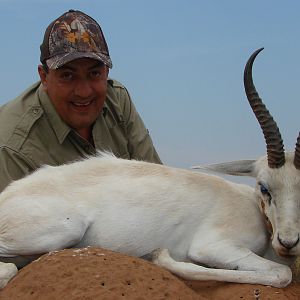 Hunting White Springbuck with Wintershoek Johnny Vivier Safaris in SA