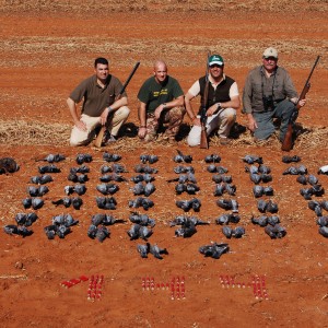 Bird Hunting with Wintershoek Johnny Vivier Safaris in SA