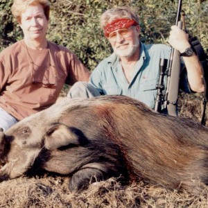 Hunting Bush Pig with Wintershoek Johnny Vivier Safaris in SA