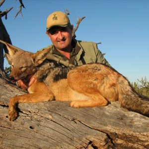 Hunting Jackal with Wintershoek Johnny Vivier Safaris in SA