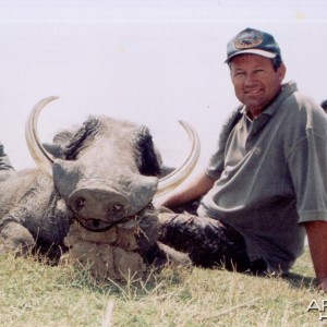 Hunting Warthog with Wintershoek Johnny Vivier Safaris in SA