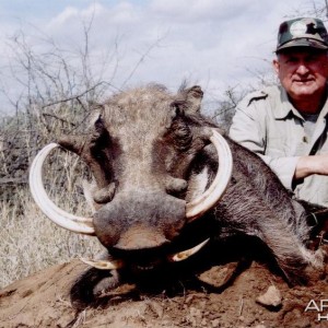 Hunting Warthog with Wintershoek Johnny Vivier Safaris in SA