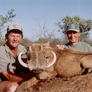 Hunting Warthog with Wintershoek Johnny Vivier Safaris in SA