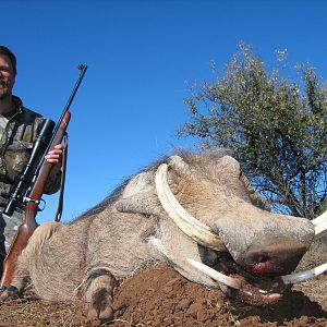 Hunting Warthog with Wintershoek Johnny Vivier Safaris in SA