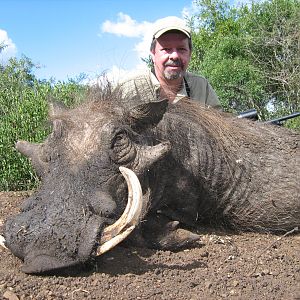 Hunting Warthog with Wintershoek Johnny Vivier Safaris in SA