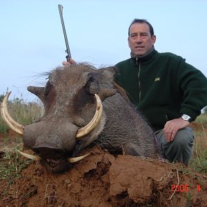 Hunting Warthog with Wintershoek Johnny Vivier Safaris in SA