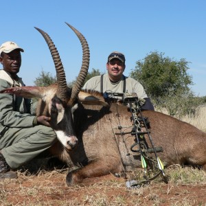 Bowhunting Roan with Wintershoek Johnny Vivier Safaris in SA