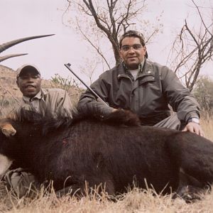 Hunting Sable with Wintershoek Johnny Vivier Safaris in SA