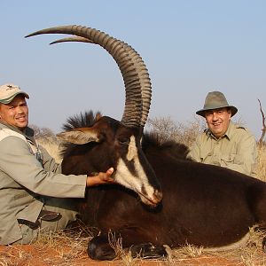 Hunting Sable with Wintershoek Johnny Vivier Safaris in SA