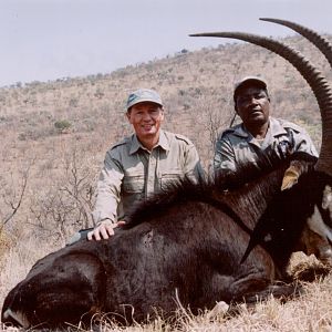 Hunting Sable with Wintershoek Johnny Vivier Safaris in SA