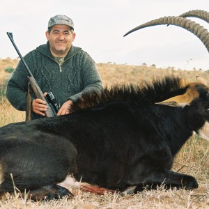 Hunting Sable with Wintershoek Johnny Vivier Safaris in SA