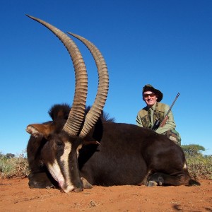 Hunting Sable with Wintershoek Johnny Vivier Safaris in SA