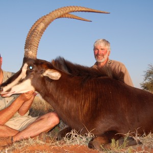 Hunting Sable with Wintershoek Johnny Vivier Safaris in SA