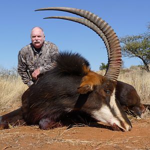 Hunting Sable with Wintershoek Johnny Vivier Safaris in SA