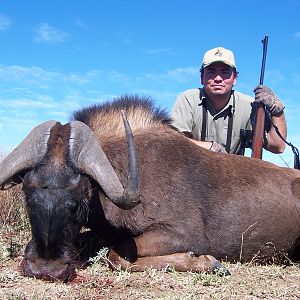 Hunting Black Wildebeest with Wintershoek Johnny Vivier Safaris in SA