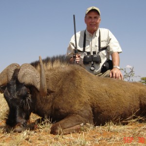 Hunting Black Wildebeest with Wintershoek Johnny Vivier Safaris in SA