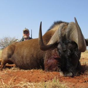 Hunting Black Wildebeest with Wintershoek Johnny Vivier Safaris in SA