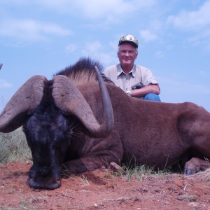 Hunting Black Wildebeest with Wintershoek Johnny Vivier Safaris in SA