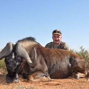 Hunting Black Wildebeest with Wintershoek Johnny Vivier Safaris in SA