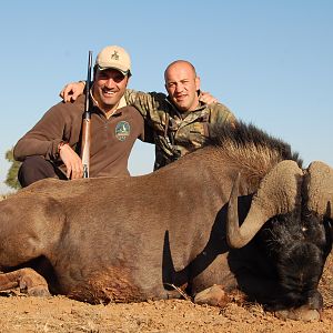 Hunting Black Wildebeest with Wintershoek Johnny Vivier Safaris in SA