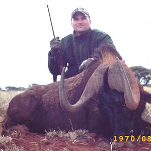 Hunting Black Wildebeest with Wintershoek Johnny Vivier Safaris in SA