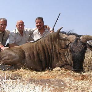 Hunting Blue Wildebeest with Wintershoek Johnny Vivier Safaris in SA