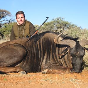 Hunting Blue Wildebeest with Wintershoek Johnny Vivier Safaris in SA