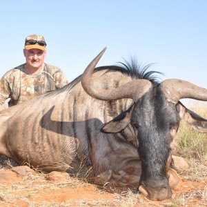 Hunting Blue Wildebeest with Wintershoek Johnny Vivier Safaris in SA