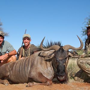 Hunting Blue Wildebeest with Wintershoek Johnny Vivier Safaris in SA