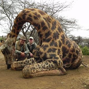 Hunting Giraffe with Wintershoek Johnny Vivier Safaris in SA